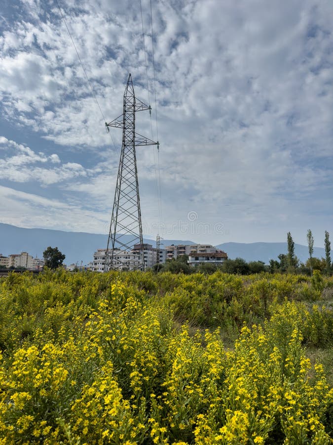 Overhead line pylons, high voltage pylons in meadow with mountains on background royalty free stock photos
