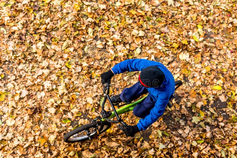 Overhead Photo of a Boy Rides a Bicycle in Autumn Park Stock Image ...