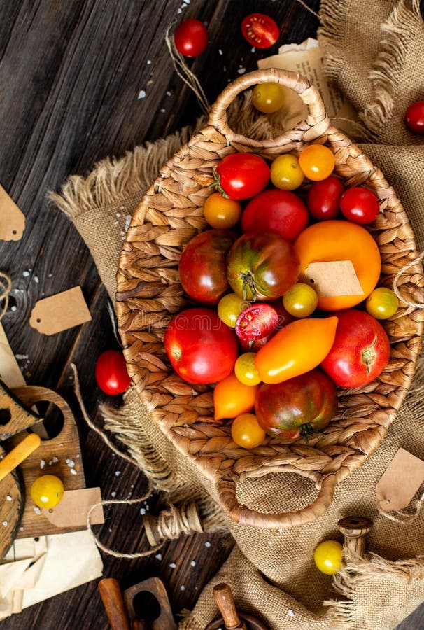 Overhead shot of homegrown assorted red, yellow, orange tomatoes in wicker straw basket