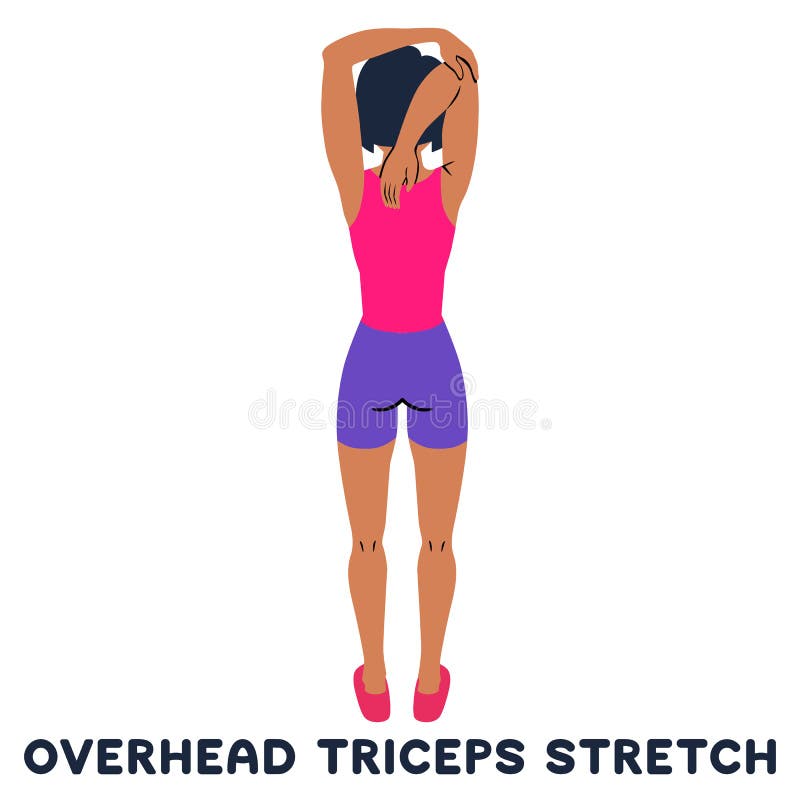 Overhead Stretch Stock Illustrations – 228 Overhead Stretch Stock