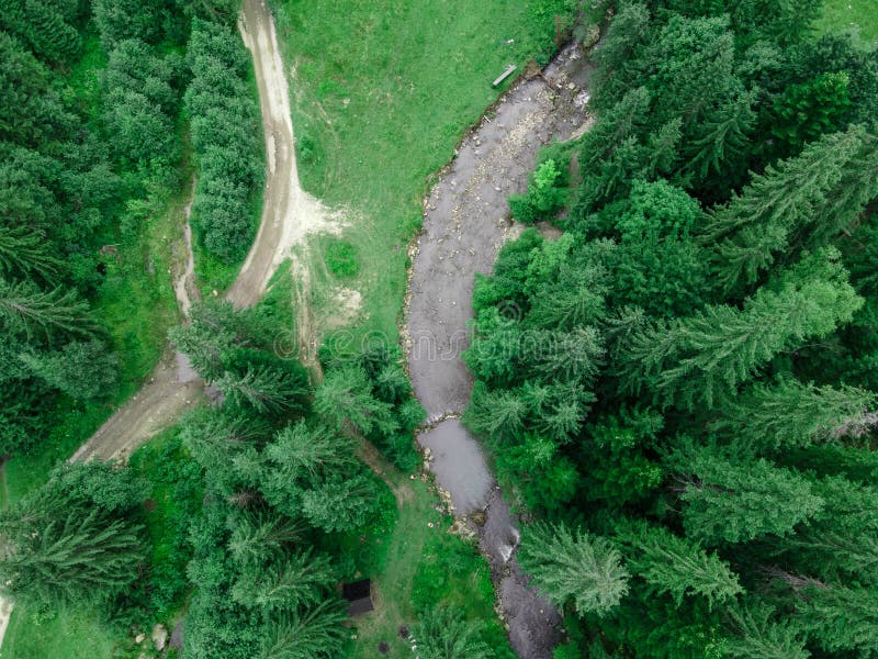 Overhead View of Forest and Mountains River Stock Image Image of pine, drone 255811695