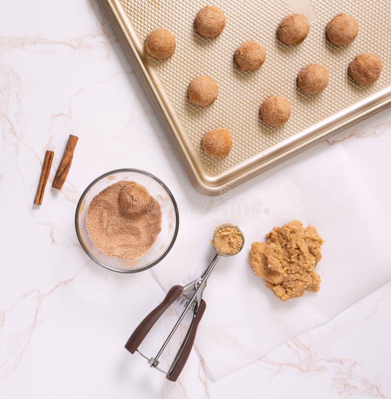 Overhead View of Raw Snickerdoodle Cookies Stock Image Image of sweet