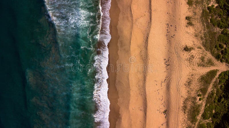 Australia Nude Beach Ass