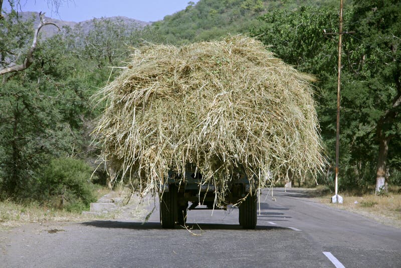 Overloaded truck, rajasthan