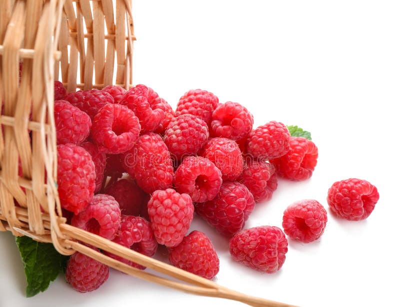 Overturned wicker basket with ripe raspberries on white background stock image
