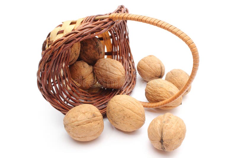 Overturned wicker basket with walnuts on white background stock photo