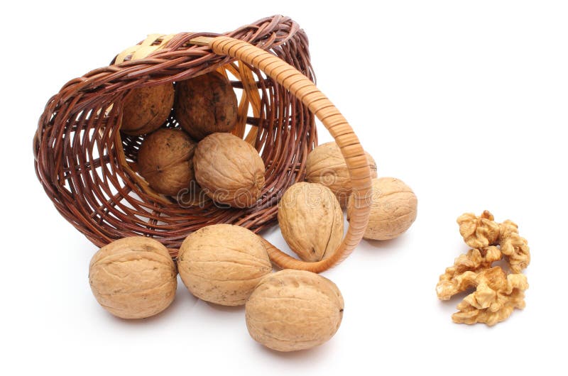 Overturned wicker basket with walnuts on white background royalty free stock photo