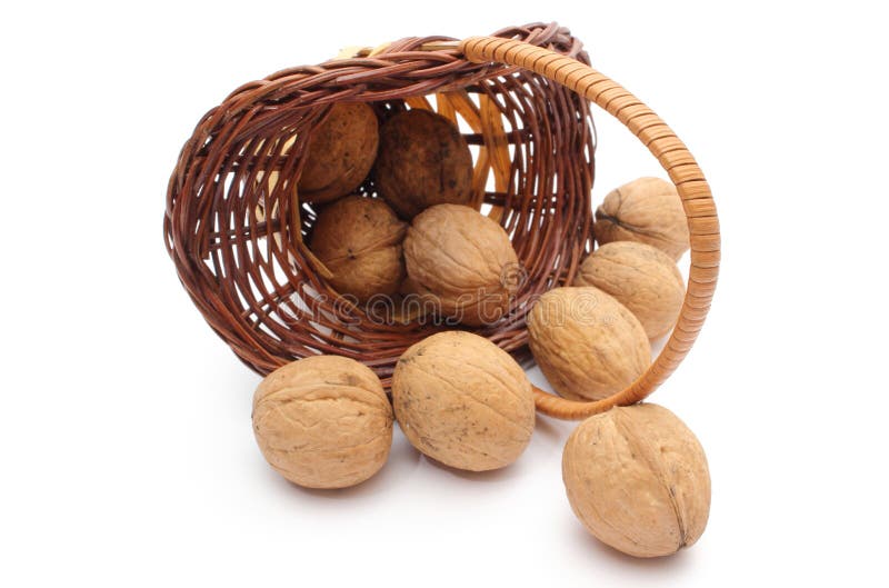 Overturned wicker basket with wanuts on white background royalty free stock images