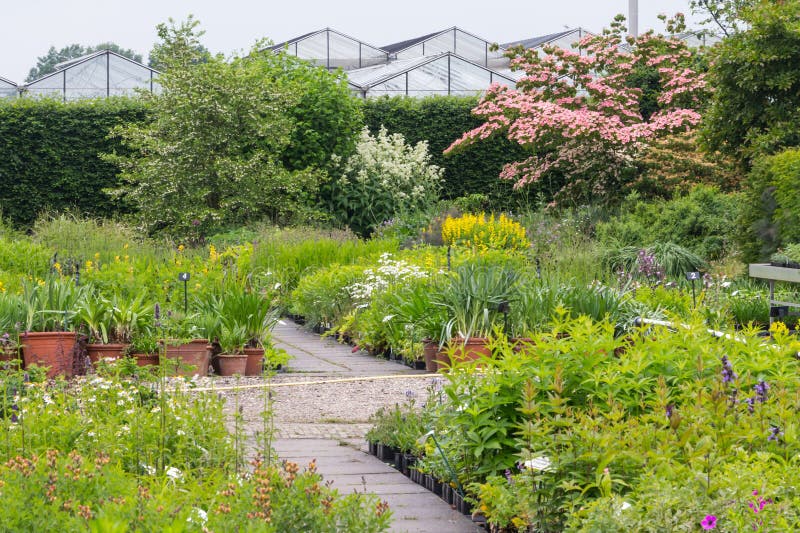 Overview Dutch Garden Centre Stock Image Image of grow, gardening
