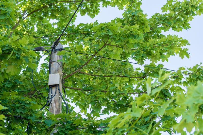 Overwoekerde lijnen voor Internet, de telefoon en de elektriciteit op plattelandsgebieden zoals tekens van achterwaartse digitali stock foto Overwoekerde lijnen voor Internet, de telefoon en de elektriciteit op plattelandsgebieden zoals tekens van achterwaartse digitali stock foto