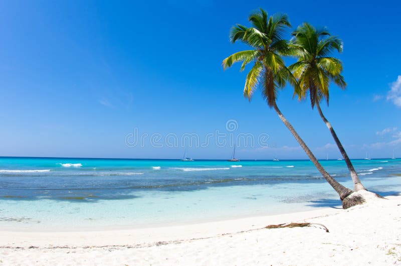 Zee strand stock fotografie
