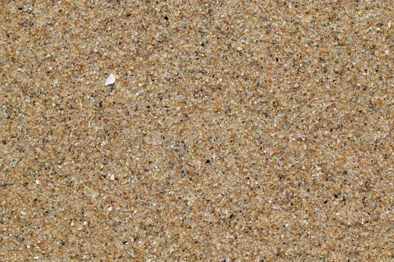 Fine wet sea sand background. Fine wet sea sand background