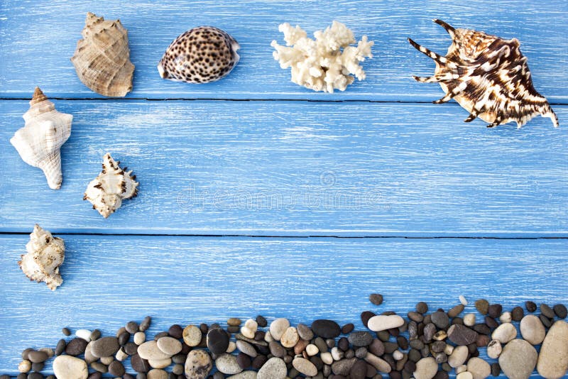Sea shells and stones on a blue wooden background. Sea shells and stones on a blue wooden background