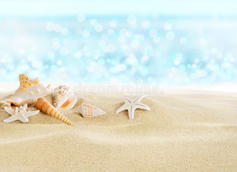 Overzeese shells op het strand royalty-vrije stock foto's Overzeese shells op het strand royalty-vrije stock foto's