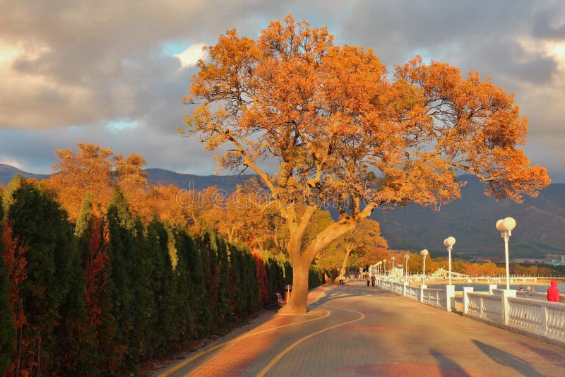 Overzeese toevluchtstad van Gelendzhik in de herfst bij zonsondergang stock afbeeldingen Overzeese toevluchtstad van Gelendzhik in de herfst bij zonsondergang stock afbeeldingen