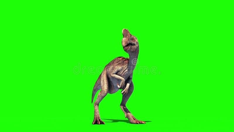 Dinosaurs Videos: Download 76+ Free 4K & HD Stock Footage Clips