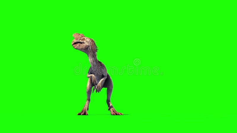 Oviraptor Dinosaurs Run Cycle Green Scre, Stock Video