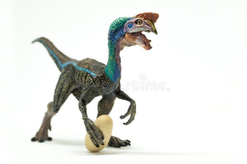 Oviraptor met gestolen ei op witte achtergrond royalty-vrije stock foto's Oviraptor met gestolen ei op witte achtergrond royalty-vrije stock foto's
