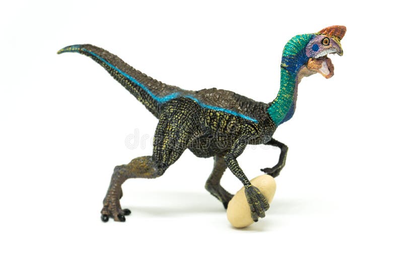 Oviraptor met gestolen ei op witte achtergrond stock foto Oviraptor met gestolen ei op witte achtergrond stock foto