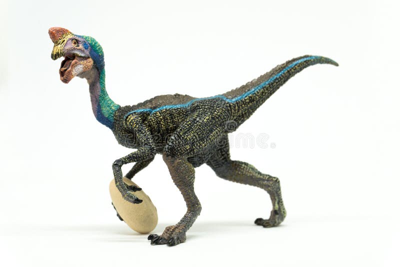 Oviraptor με το κλεμμένο αυγό στο άσπρο υπόβαθρο στοκ εικόνα με δικαίωμα ελεύθερης χρήσης Oviraptor με το κλεμμένο αυγό στο άσπρο υπόβαθρο στοκ εικόνα με δικαίωμα ελεύθερης χρήσης