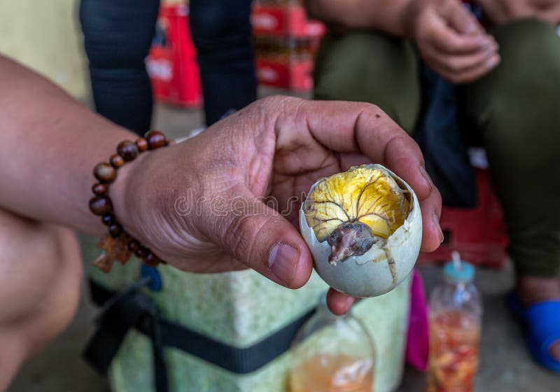 Balut egg - Philippines traditional boiled egg with a little duckling or chicken. Balut egg - Philippines traditional boiled egg with a little duckling or chicken