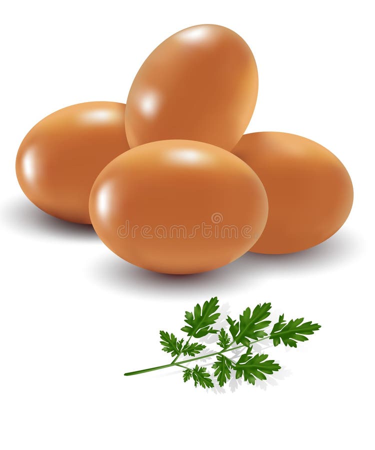 Photo-realistic illustration of the four eggs with parsley. Photo-realistic illustration of the four eggs with parsley.