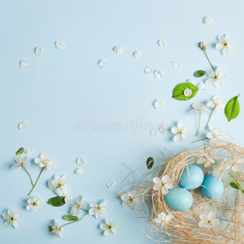 Ovos da páscoa azuis pintados no fundo das flores de cerejeira imagens de stock Ovos da páscoa azuis pintados no fundo das flores de cerejeira imagens de stock