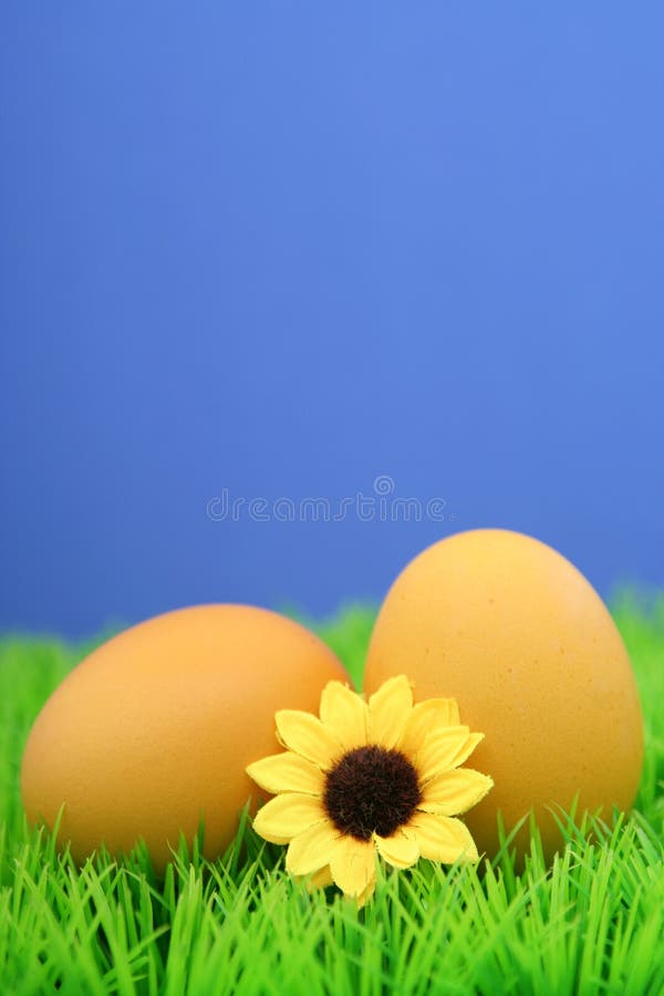Ovos de Easter Ovos de Easter
