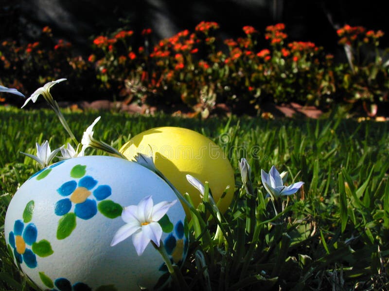 Ovos de Easter escondidos na grama foto de stock royalty free Ovos de Easter escondidos na grama foto de stock royalty free