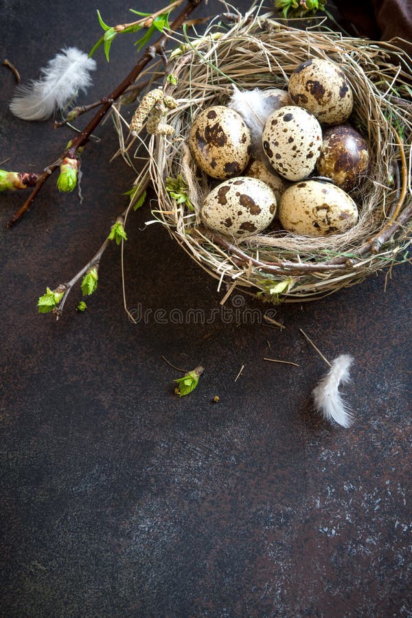 Ovos de Easter no ninho fotos de stock Ovos de Easter no ninho fotos de stock