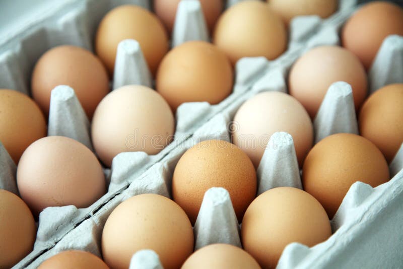 Ovos em uma caixa de ovo