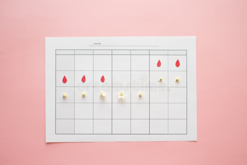 Ovulation Cycle Concept Calendar For A Month Marker Of Ovulation And Ovulation Cycle Concept Calendar For A Month Marker Of Ovulation And