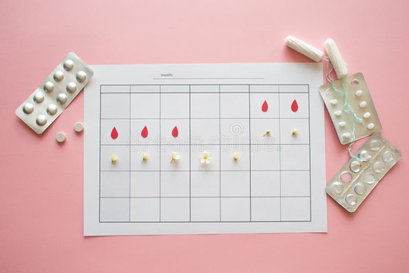 Ovulation Cycle Concept Calendar For A Month Marker Of Ovulation And Ovulation Cycle Concept Calendar For A Month Marker Of Ovulation And