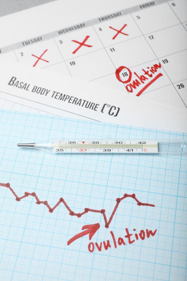 Ovulation cycle in women. Graph of basal temperature. Favorable time for conceiving child royalty free stock photo Ovulation cycle in women. Graph of basal temperature. Favorable time for conceiving child royalty free stock photo