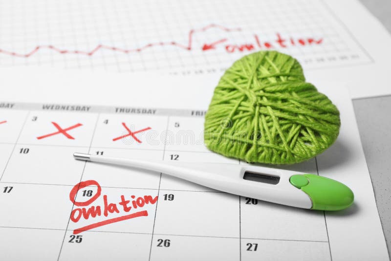 Ovulation cycle in women. Graph of basal temperature. Favorable time for conceiving child stock photography Ovulation cycle in women. Graph of basal temperature. Favorable time for conceiving child stock photography