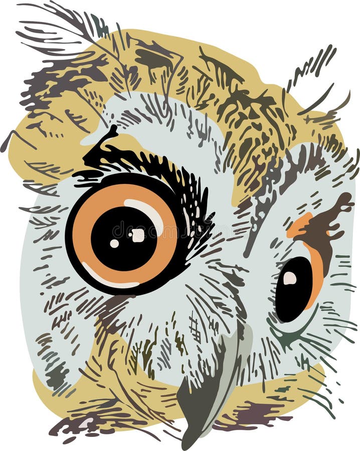 Owi stock illustration. Illustration of hunter, bird, night 5400673