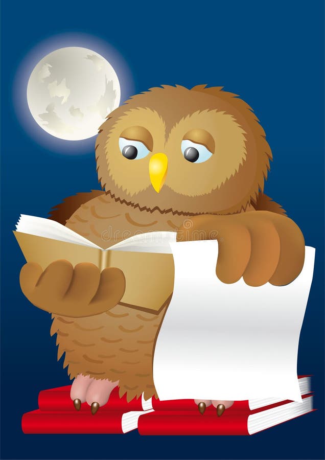 Owl books and moon