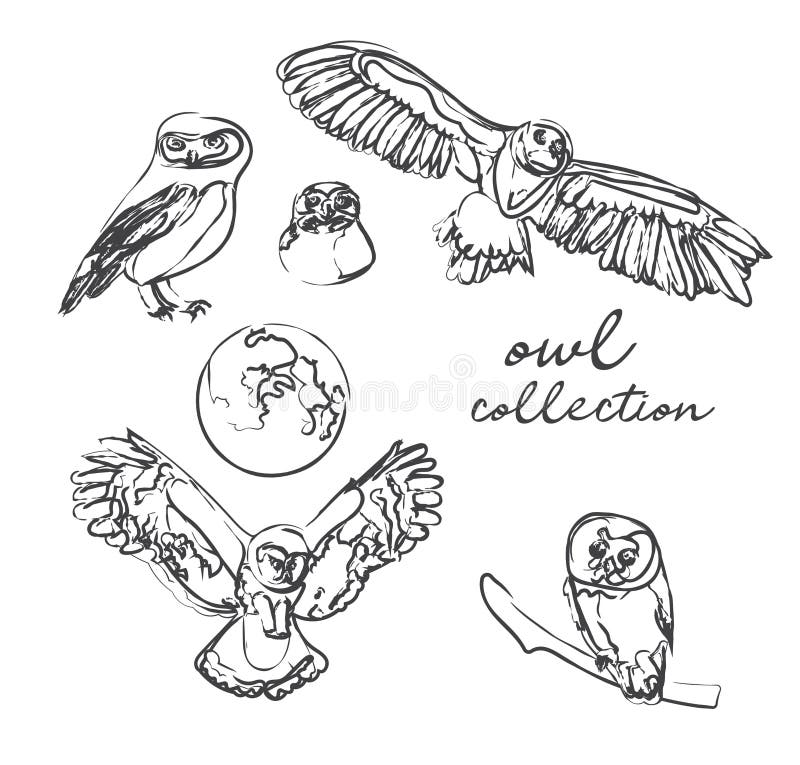 Owl Collection Vector Illustration Hand Drawn Sketch Stock
