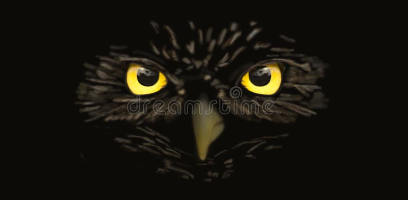 24,457 Owl Eyes Stock Photos - Free & Royalty-Free Stock Photos from  Dreamstime