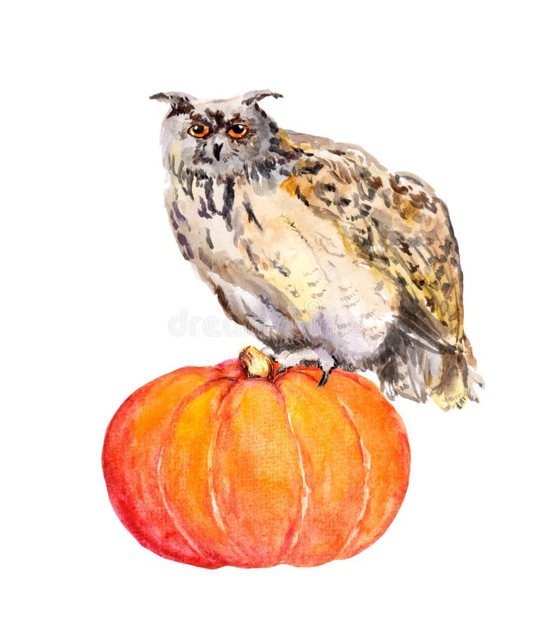 Owl on pumpkin. Halloween watercolor picture. stock illustration Owl on pumpkin. Halloween watercolor picture. stock illustration