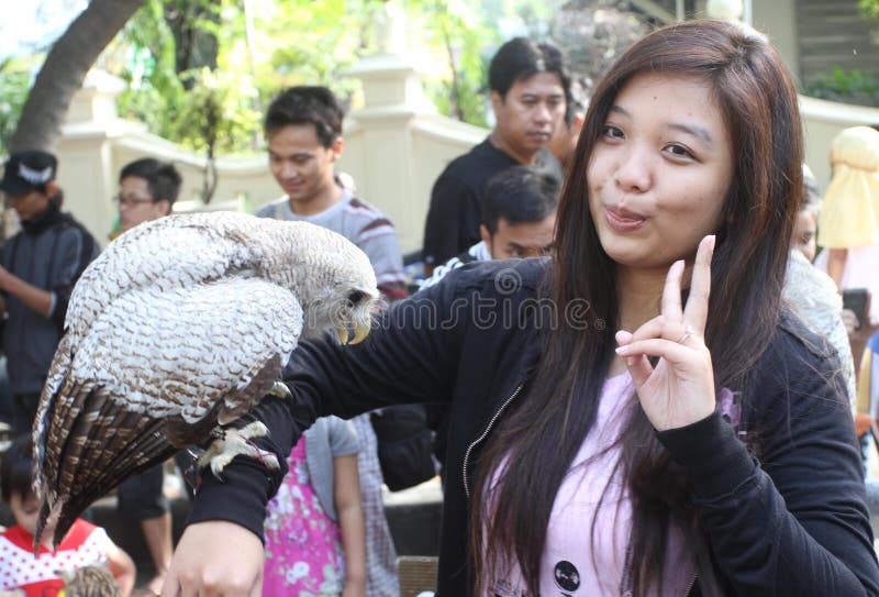 Owl for rent editorial stock image. Image of rented, rental 35473169