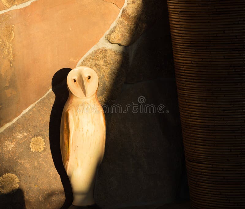Owl Shadows fotos de archivo libres de regalías Owl Shadows fotos de archivo libres de regalías