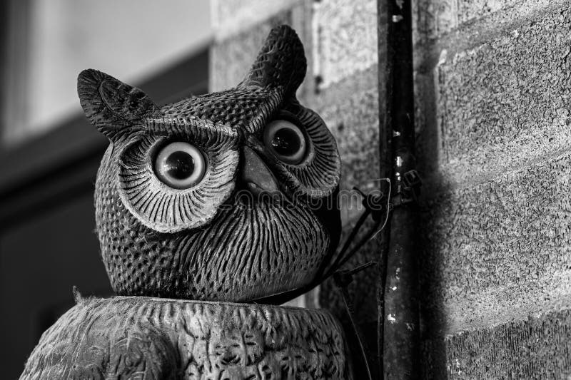 Owl Statue on Pole Against Brick Wall. Stock Photo Image of historic