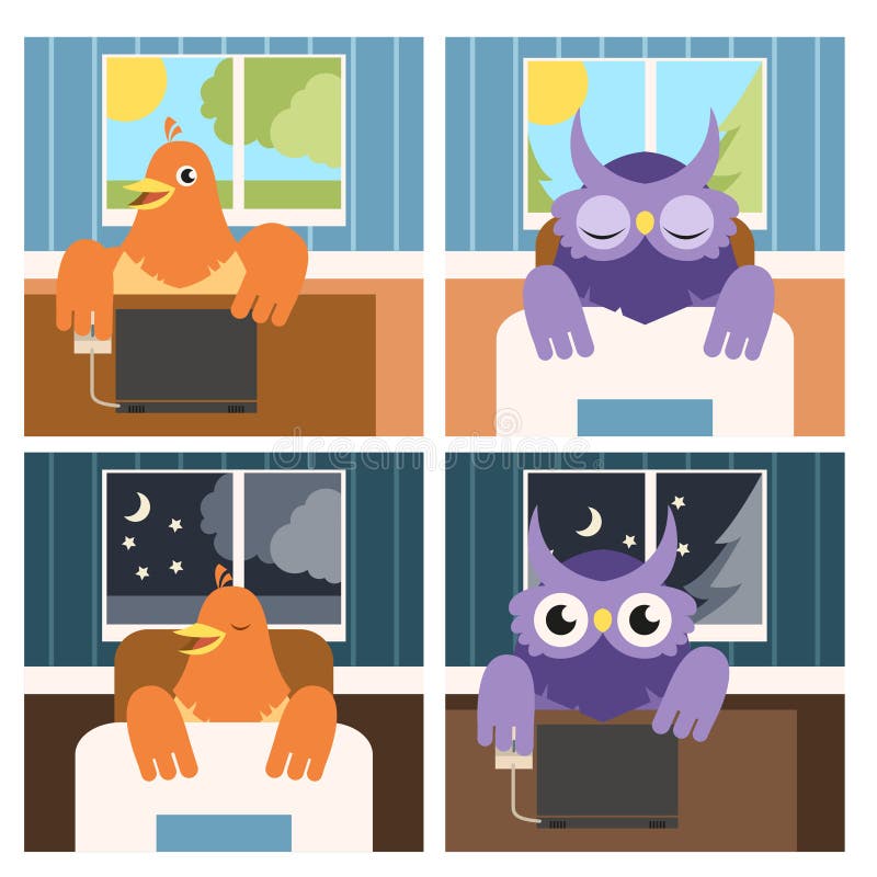 Vector image of the owls and larks by day and night. Brain sleeping vectors
