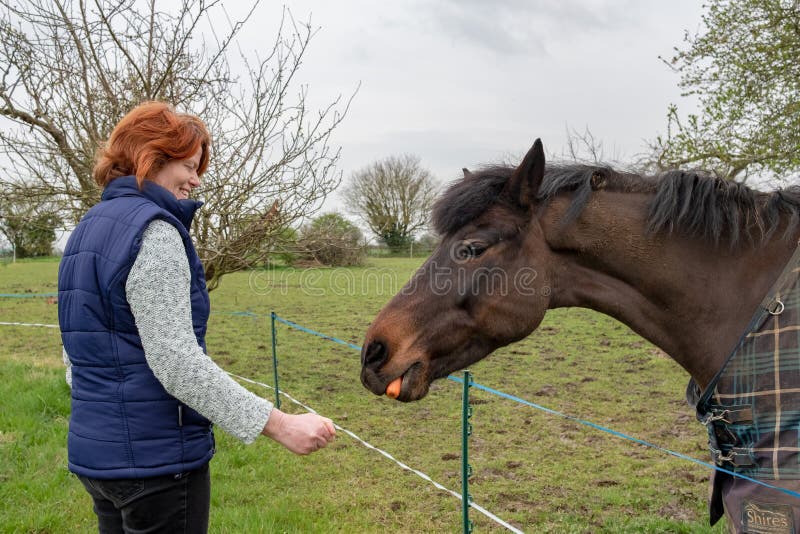 Owner of a horse seen feeding him fresh meadow grass.