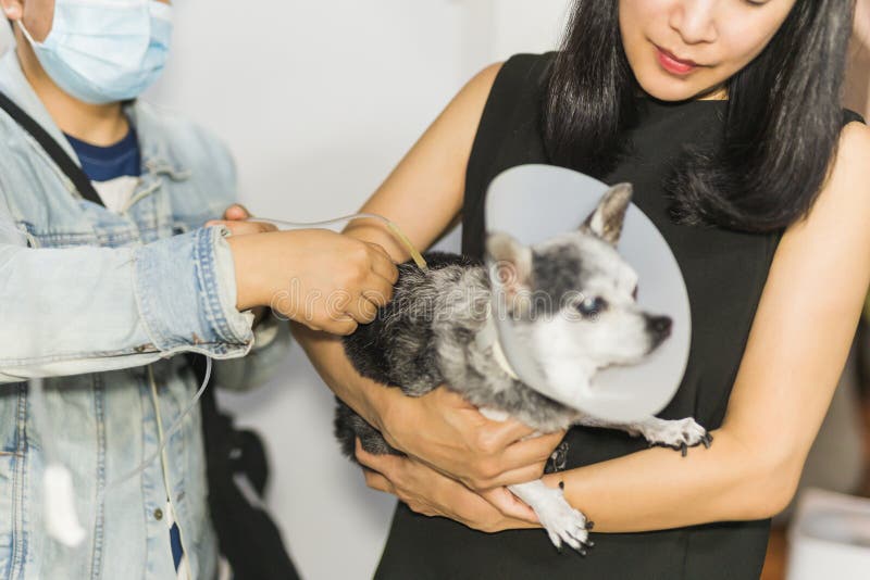 saline solution for dogs