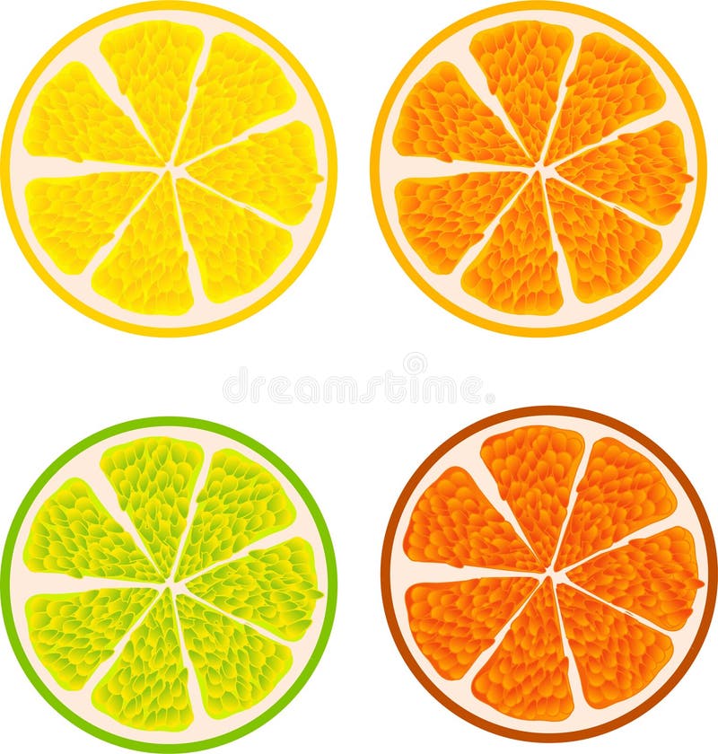 Slices of fruit in a pattern making a summer pattern or edit as you please. Slices of fruit in a pattern making a summer pattern or edit as you please