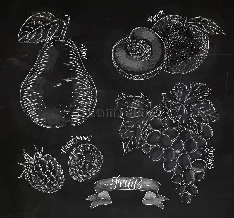 Owocowa bonkreta, brzoskwinia, malinka, winogrono kreda ilustracja wektor Owocowa bonkreta, brzoskwinia, malinka, winogrono kreda ilustracja wektor