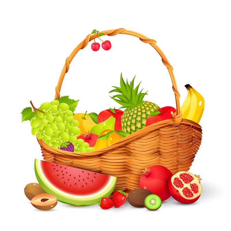 Vector illustration of basket full of fresh fruit. Vector illustration of basket full of fresh fruit