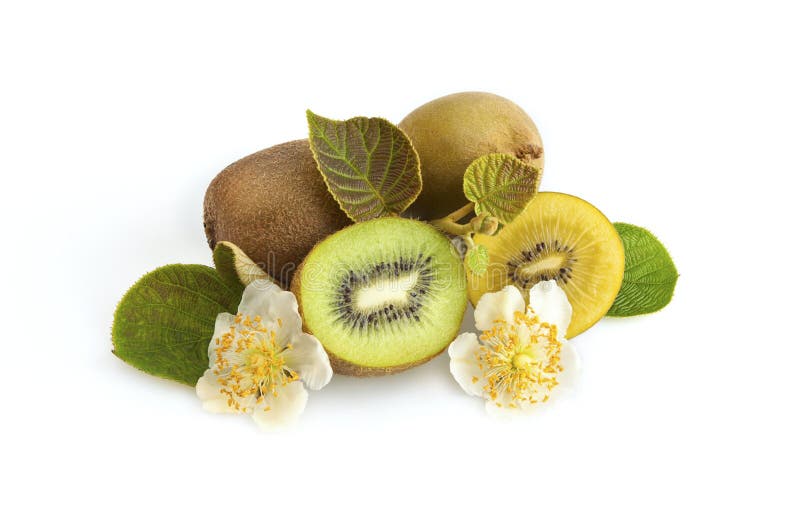 owocowy złoty zielony kiwi zdjęcia royalty free owocowy złoty zielony kiwi zdjęcia royalty free
